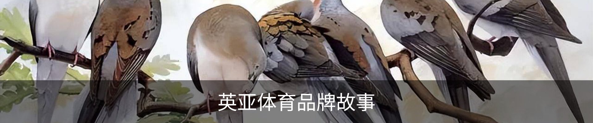 英亚体育品牌故事